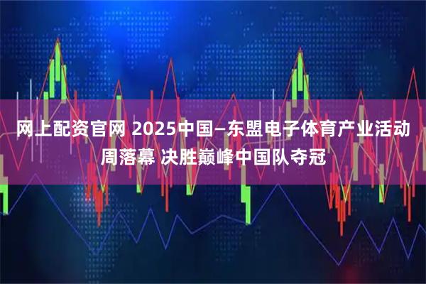 网上配资官网 2025中国—东盟电子体育产业活动周落幕 决胜巅峰中国队夺冠