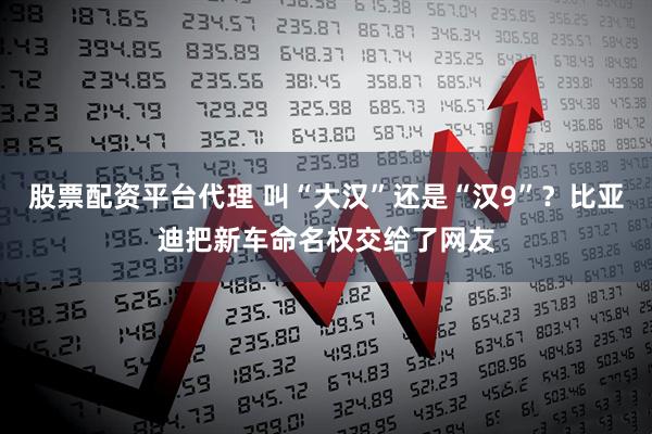 股票配资平台代理 叫“大汉”还是“汉9”？比亚迪把新车命名权交给了网友